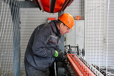 Что делают в Минской области для снижения количества ДТП с дикими животными