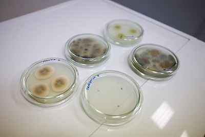 Ночные экскурсии и мастер-классы по каллиграфии: как встретили \"Библионочь\" в Национальной библиотеке Беларуси