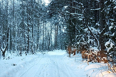Зимний пейзаж в Докшицком районе