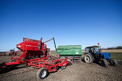 В Минской области весенний сев начали с ярового ячменя