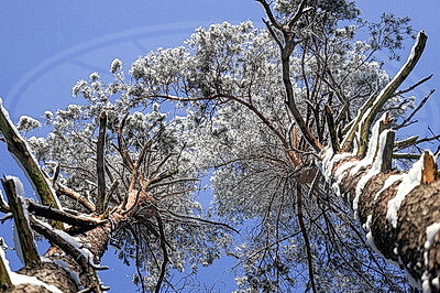 ФОТОХРОНИКА начинает новый информационный день