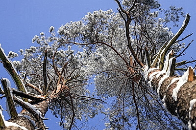 ФОТОХРОНИКА начинает новый информационный день