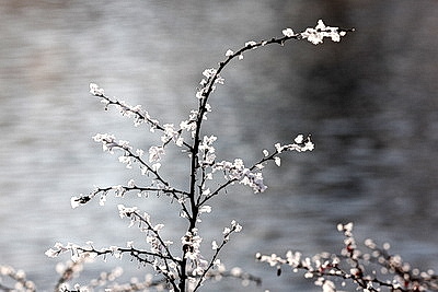 Зимний пейзаж