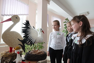 Около 100 аистов, сделанных учащимися и педагогами витебской СШ №46, украсили школьную экспозицию