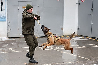 Здесь человек и собака понимают друг друга \"с первого взгляда\". Как несут службу кинологи в Бобруйском отделе Департамента охраны
