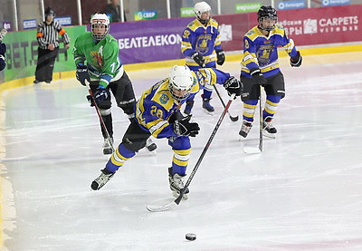 В Витебске завершился областной турнир по хоккею \"Золотая шайба\"