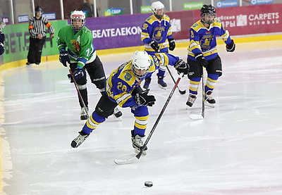 В Витебске завершился областной турнир по хоккею \"Золотая шайба\"