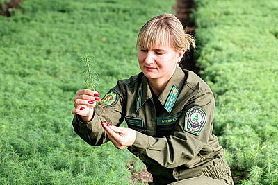 Лесхозы Беларуси начали осеннюю посадку леса