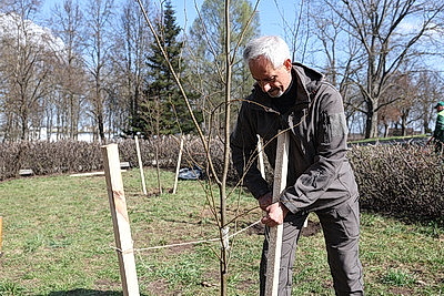 Республиканский субботник: председатель и члены Совета Республики трудились на благоустройстве мемориала