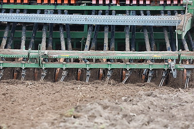 В Могилевском районе стартовал сев селекционных образцов льна-долгунца