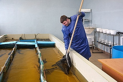 Специалистов для рыбоводства готовят в БГСХА