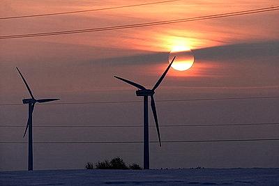 ФОТОХРОНИКА начинает новый информационный день