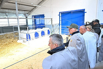 Сельское хозяйство и \"кондитерка\". Лукашенко посетил Наровлянский район