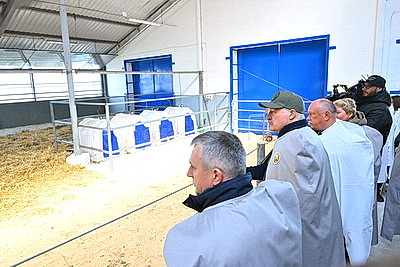 Сельское хозяйство и \"кондитерка\". Лукашенко посетил Наровлянский район