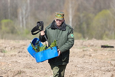 Молодой лес, обновленные улицы, цветники: Жировичи всем миром вышли на субботник