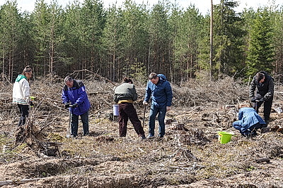 Республиканский субботник: коллектив Администрации Президента принял участие в благоустройстве мемориального комплекса и посадке леса