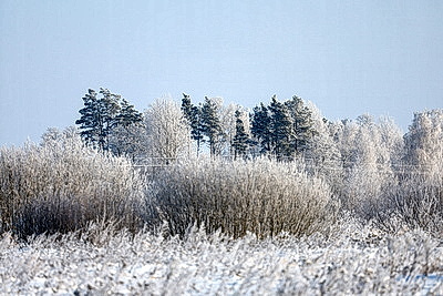 Зима в белорусской глубинке