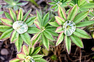 ФОТОХРОНИКА начинает новый информационный день