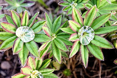 ФОТОХРОНИКА начинает новый информационный день