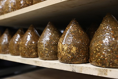 Модернизация производств, инвестиции, туризм. Ломский о точках роста Брестской области