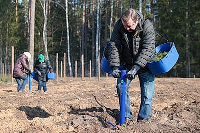 Члены Совета Республики приняли участие в акции \"Лес! Дабро! Парадак!\" в Столбцовском районе