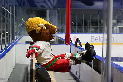 В хоккей играют не только мужчины. Всемирный женский хоккейный матч прошел в Минске