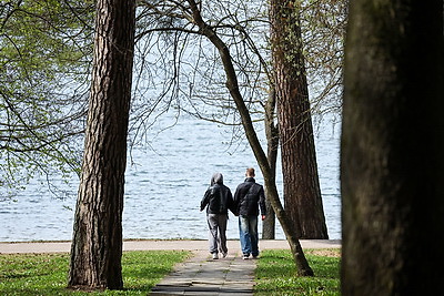 Весна. Белоснежные лебеди на водохранилище Дрозды