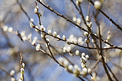 Солнечный весенний день в Минске