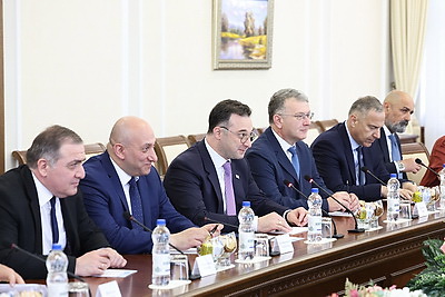 Продовольствие, биоматериалы, техника. Беларусь и Грузия рассмотрели перспективы партнерства