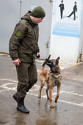 Здесь человек и собака понимают друг друга \"с первого взгляда\". Как несут службу кинологи в Бобруйском отделе Департамента охраны