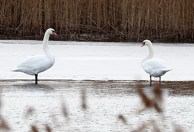 ФОТОХРОНИКА начинает новый информационный день