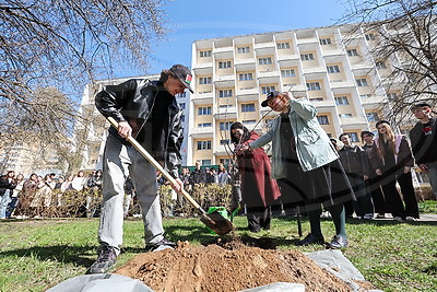 \"Строить будущее вместе\". Студенты Беларуси и России приняли участие в высадке Дерева дружбы в Минске