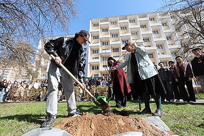 \"Строить будущее вместе\". Студенты Беларуси и России приняли участие в высадке Дерева дружбы в Минске
