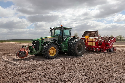 Посадка раннего картофеля идет в крупном хозяйстве Ивановского района