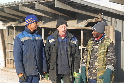 \"Счастливы работать и зарабатывать\". Как африканские парни трудятся на ферме в Лидском районе