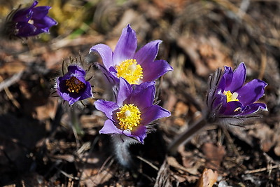 ФОТОХРОНИКА начинает новый информационный день