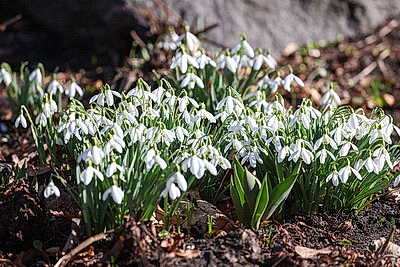 Солнечный весенний день в Минске