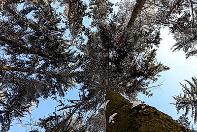 ФОТОХРОНИКА начинает новый информационный день