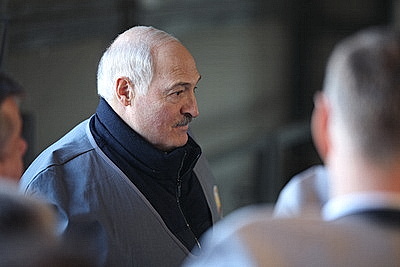 Лукашенко ознакомился с развитием мясного скотоводства и молочной отрасли