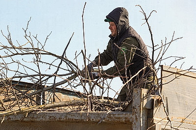 Акция \"Лес! Дабро! Парадак!\" стартовала в Беларуси