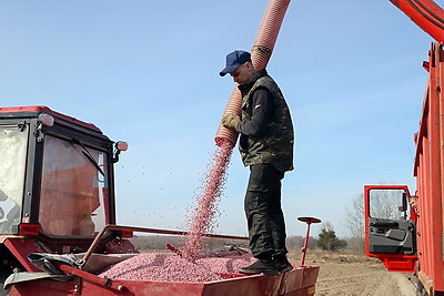 Аграрии Светлогорского района активно включились в посевную кампанию