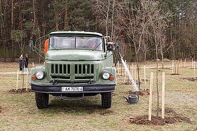 Аллею из 50 молодых лип высадили активисты-общественники в Гродно
