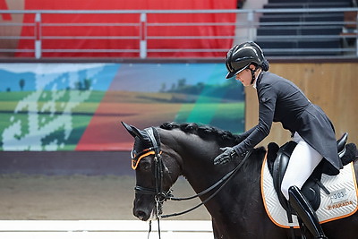 Международные соревнования по конному спорту \"Этап Кубка Евразии по выездке\" завершились в Ратомке