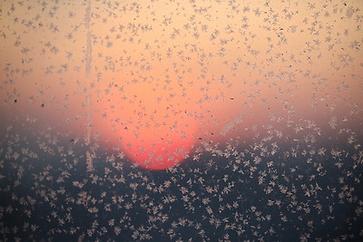 ФОТОХРОНИКА начинает новый информационный день