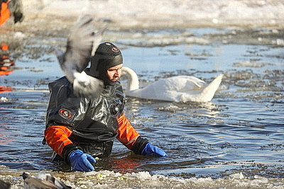 В Бресте расчищают полыньи для зимующих птиц