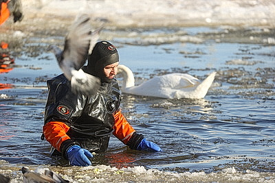 В Бресте расчищают полыньи для зимующих птиц