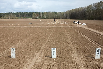 В Могилевском районе стартовал сев селекционных образцов льна-долгунца