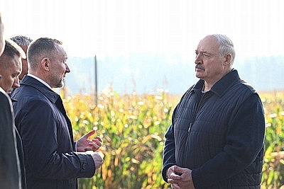 Лукашенко ознакомился с экспериментом по повышению плодородия почв