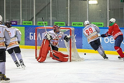 \"Огненные рыси\" из Гомельского района выиграли \"старший\" финал \"Золотой шайбы\" в дивизионе \"Б\"