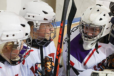 \"Золотая шайба\". Финал областных соревнований проходит в Шклове